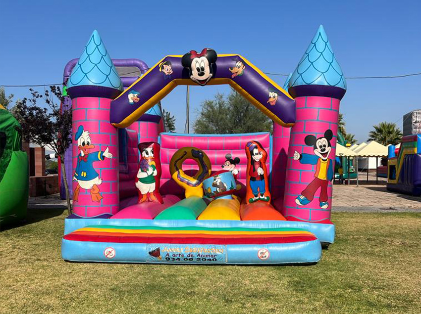 Casinha da Minnie | 7x4